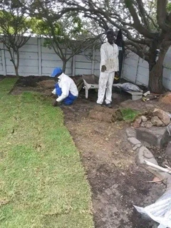 Grass installer