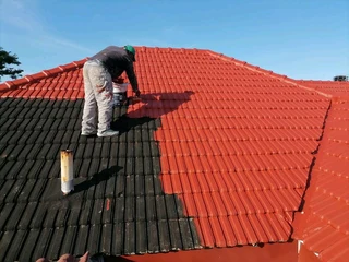 Painting walls and ceiling