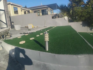 Turf lawn