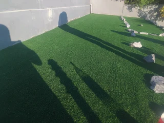 Turf lawn