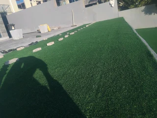 Turf lawn
