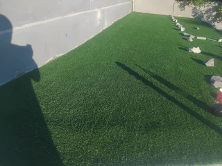 Turf lawn