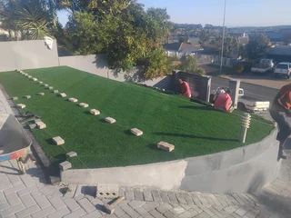 Turf lawn