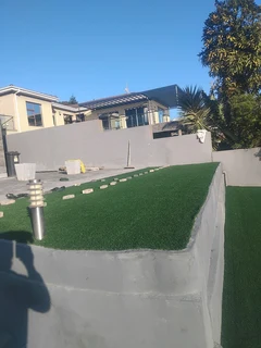 Turf lawn