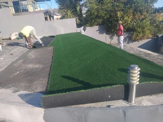Turf lawn