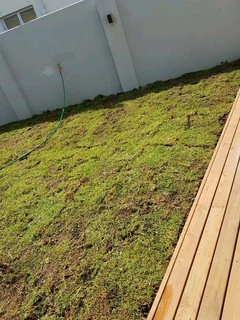 Fresh kikuyu grass from farm direct and compost providing as well our grass is totaly 100%weeds free