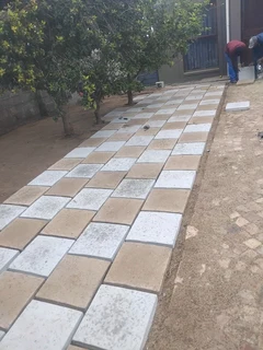 Grey paving and Slabs paving