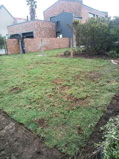 Kikuyu,buffalo and berea