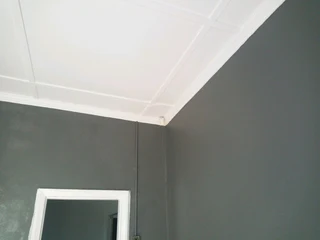 Painting and waterproofing