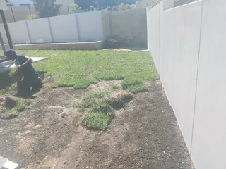 Fresh from farm grass