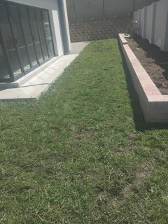 Fresh from farm grass