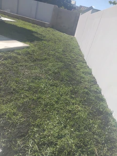 Fresh from farm grass