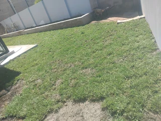 Fresh from farm grass