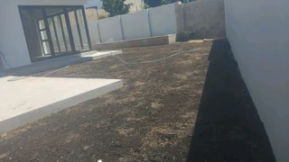 Fresh from farm grass