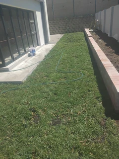 Fresh from farm grass