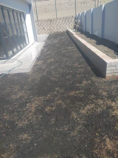 Fresh from farm grass