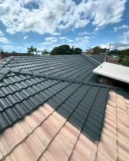 Painting by professionall