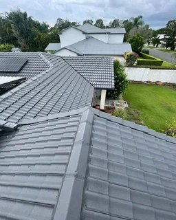 Painting by professionall