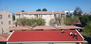 Painting by professionall