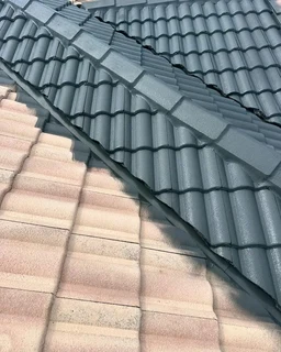 Painting by professionall