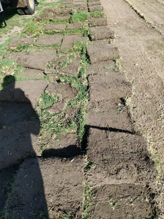 Fresh lawn from farm