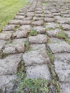 BEREA, KIKUYU, BUFFALO GRASS AND COMPOST