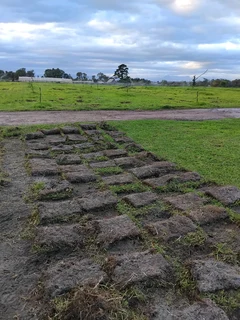BEREA, KIKUYU, BUFFALO GRASS AND COMPOST