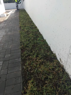 BEREA, KIKUYU, BUFFALO GRASS AND COMPOST