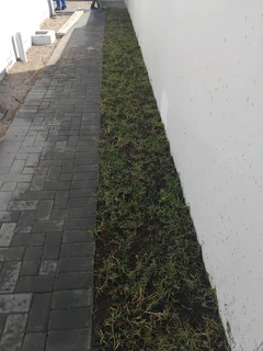 BEREA, KIKUYU, BUFFALO GRASS AND COMPOST