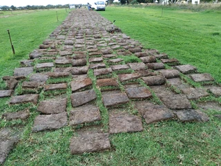 Green grass installation