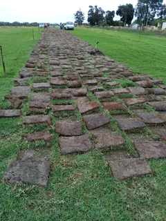 Green grass installation