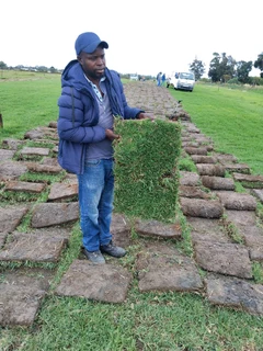 Green grass installation