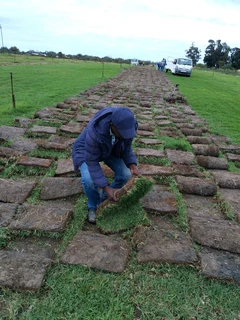 Green grass installation