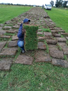 Green grass installation