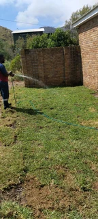 Best kikuyu grass fresh