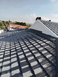 Roof Cleaning And Seal It