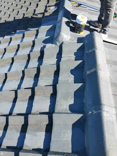 Roof leaking solution fixer
