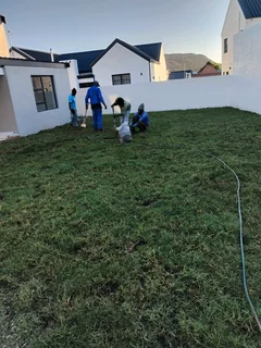 Lawn and compost