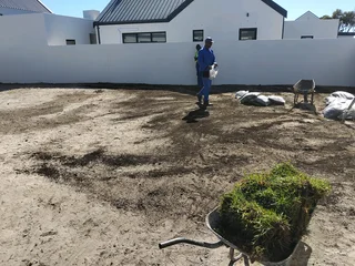 Lawn and compost