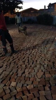 Wheat stone half brick