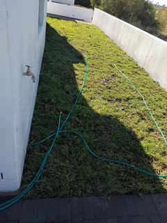 Kikuyu and Berea grass