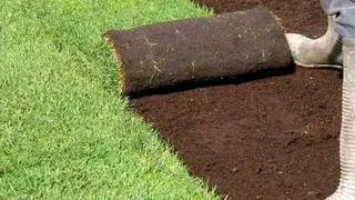 GRASS AND COMPOST