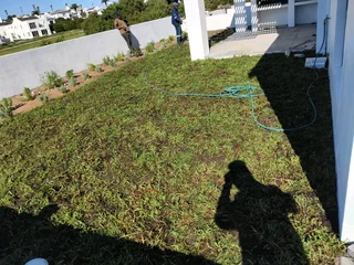 Lawn installation fresh