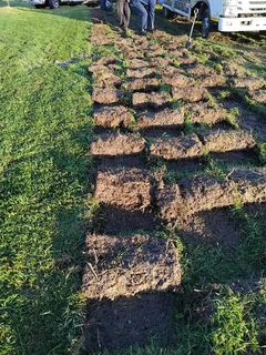 Fresh grass installation