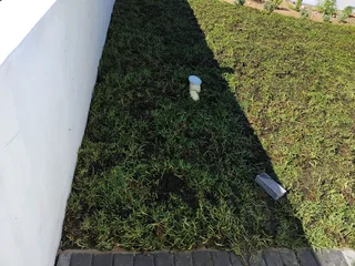 Fresh grass installation