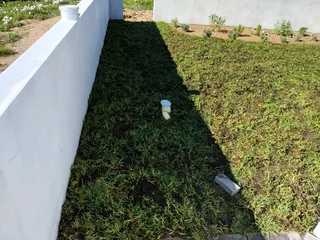 Fresh grass installation