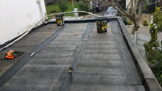 Specialist Doctor Of The Leaking