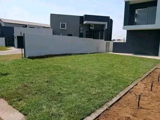 BEREA GRASS AND KIKUYU GRASS