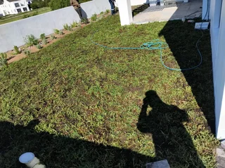 Instant lawn from farm