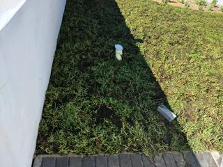 Instant lawn from farm